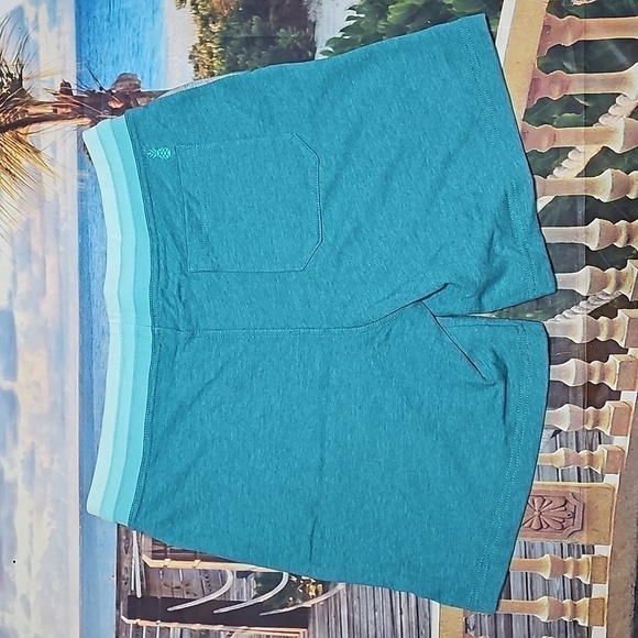 Chubbies Lounge‎ Shorts Size Large NWT - Picture 5 of 6